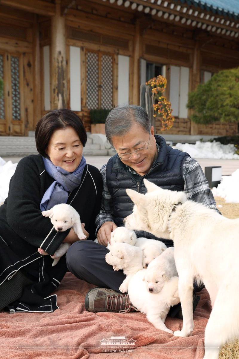 South Korean President Moon Jae-in and first lady Kim Jung-sook hold puppies born from a hunting dog gifted from North Korea, in Seoul, November 25, 2018. Reuters