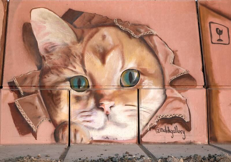 A cat by Malak Gallery.