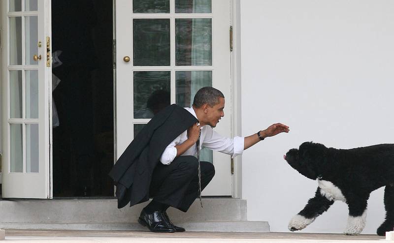 In this photo taken in March 2012, then-US President Barack Obama greets his dog, Bo, outside the Oval Office in Washington, DC. AFP