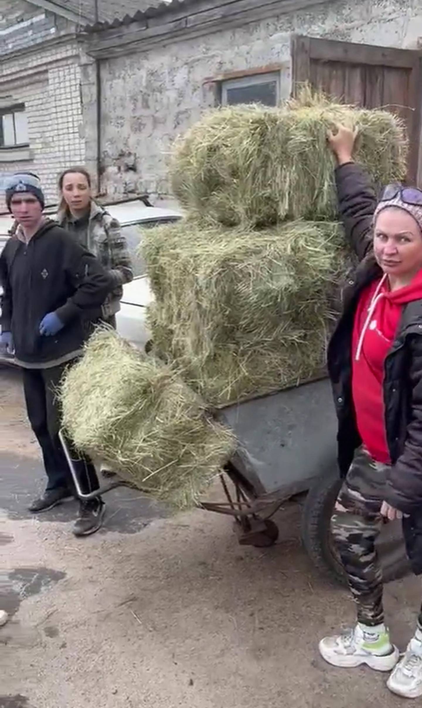 Volunteers at Kyiv's Hippodrome prepare to feed the horses. Photo: John O'Connor