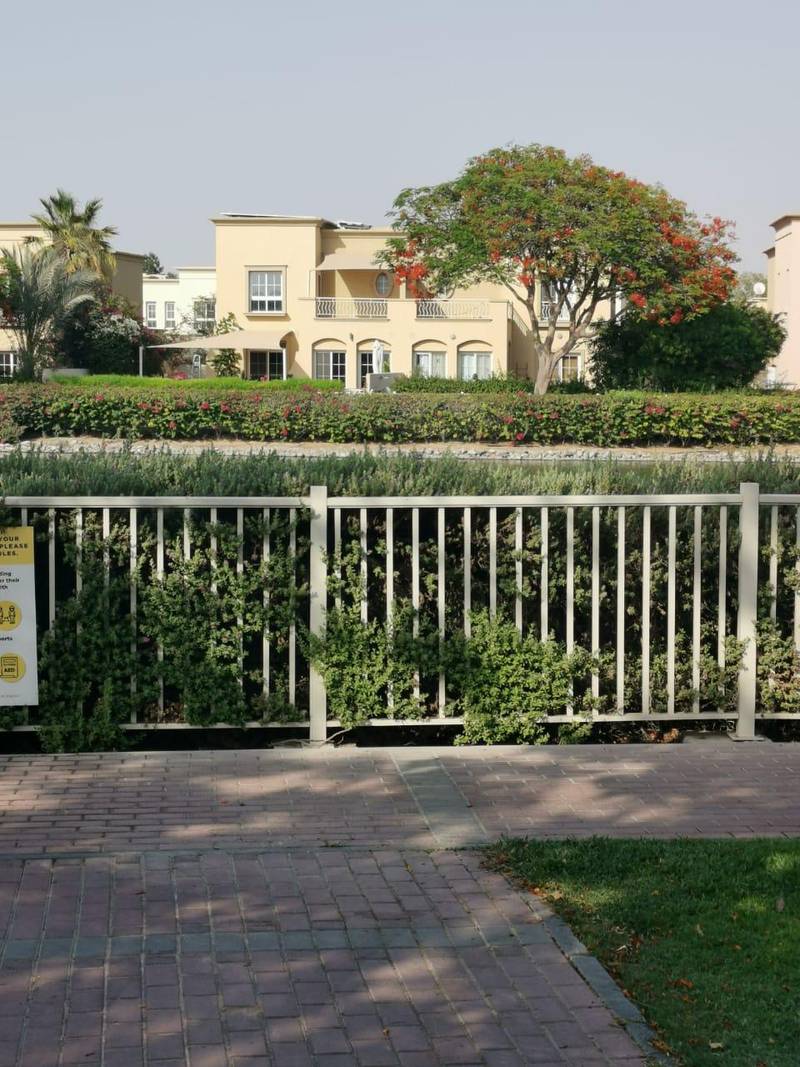 Dubai Municipality is looking into claims that an exotic black cat was spotted roaming around a neighbourhood in the emirate on Tuesday. Shuchita Gautam / The National