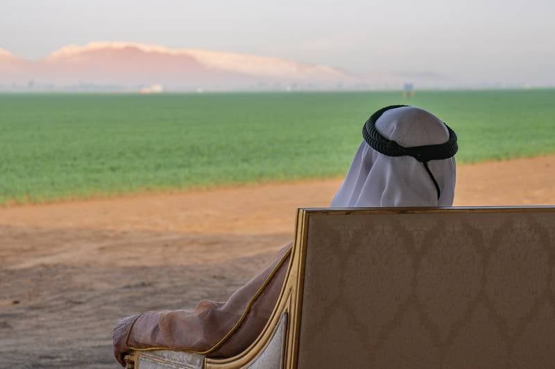 Sheikh Dr Sultan bin Muhammad Al Qasimi gazes over the farm, which is set to expand from 400 hectares to nearly 900 next year