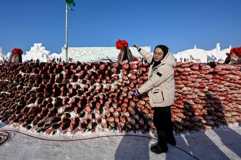 A 10-metre 'wall' composed of more than 2,000 fish during the opening ceremony