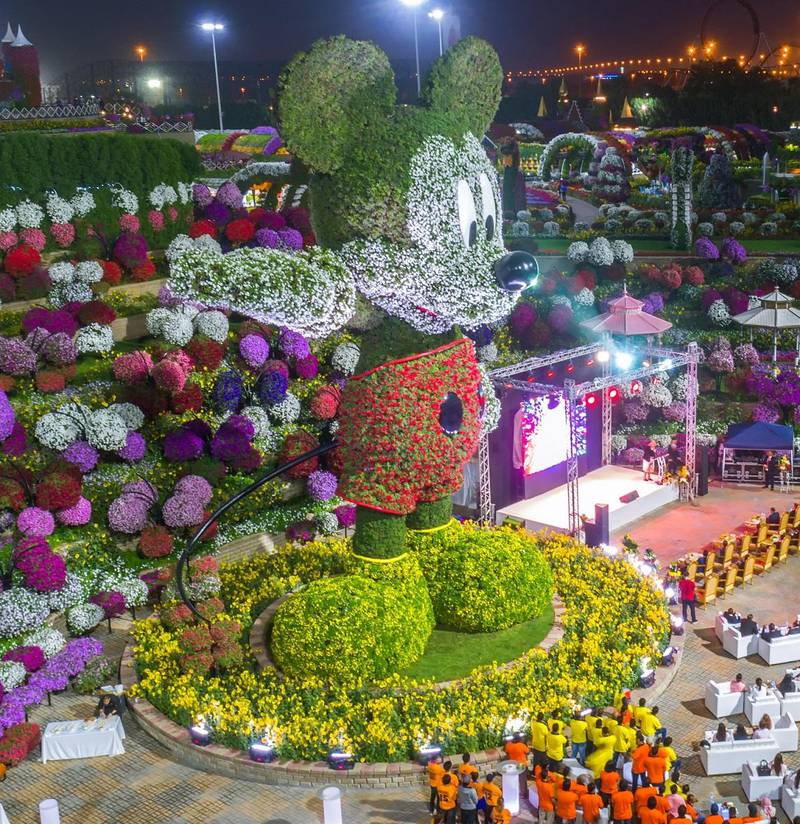 The sculpture is on display at Dubai Miracle Garden, where they plan to erect more Disney topiary designs in November.