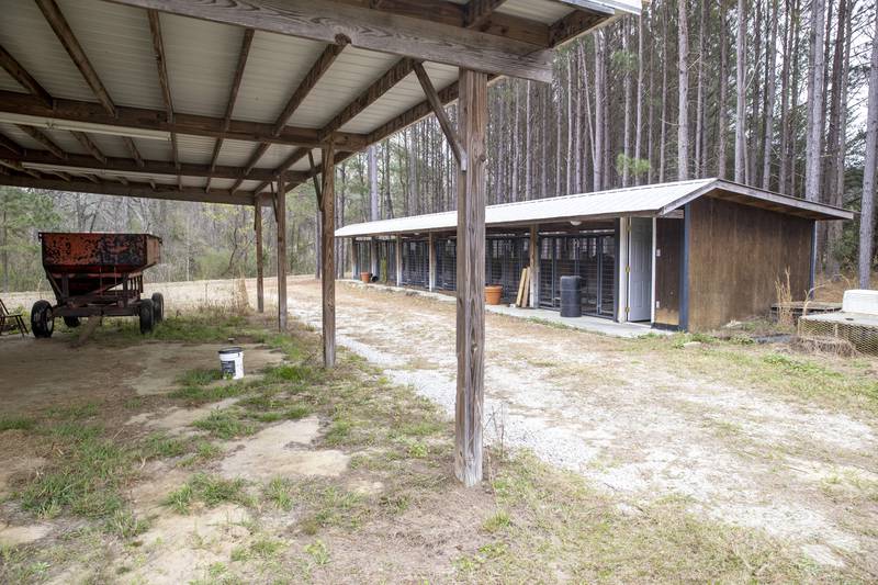 The area where the bodies of Paul Murdaugh and mother Maggie were found at the Moselle property. AP