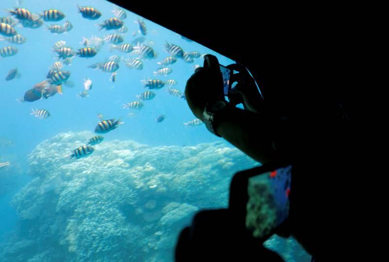Tourists take photos under water from a submarine in the Red Sea resort town of Sharm El Sheikh, a popular beach and diving destination. Photo: Reuters