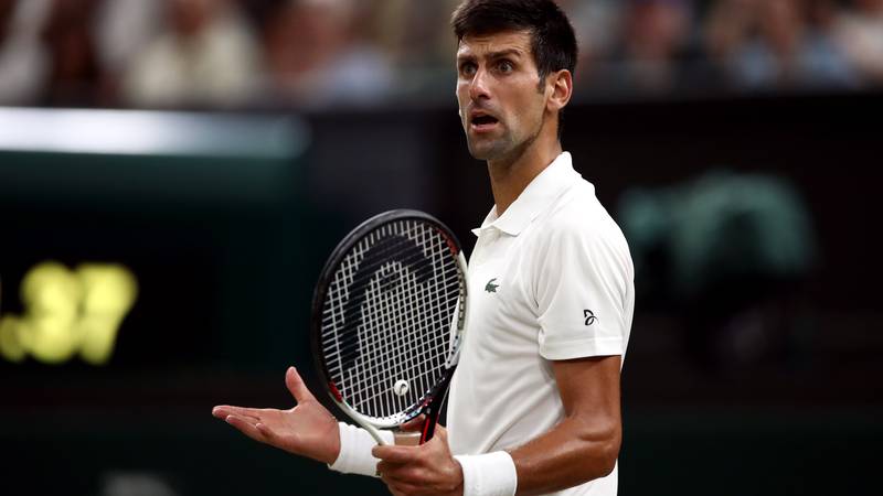 An image that illustrates this article Djokovic holds major stake in Danish firm developing Covid drug, CEO says