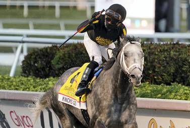 Knicks Go won the Pegasus World Cup Invitational race at the Gulfstream Park in Hallandale Beach in January. AP