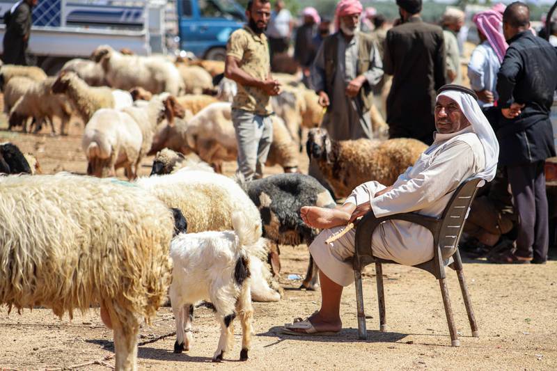 A farmer sells sheep for Eid Al Adha at a market near the town of Maaret Misrin in northern Syria.  AFP
