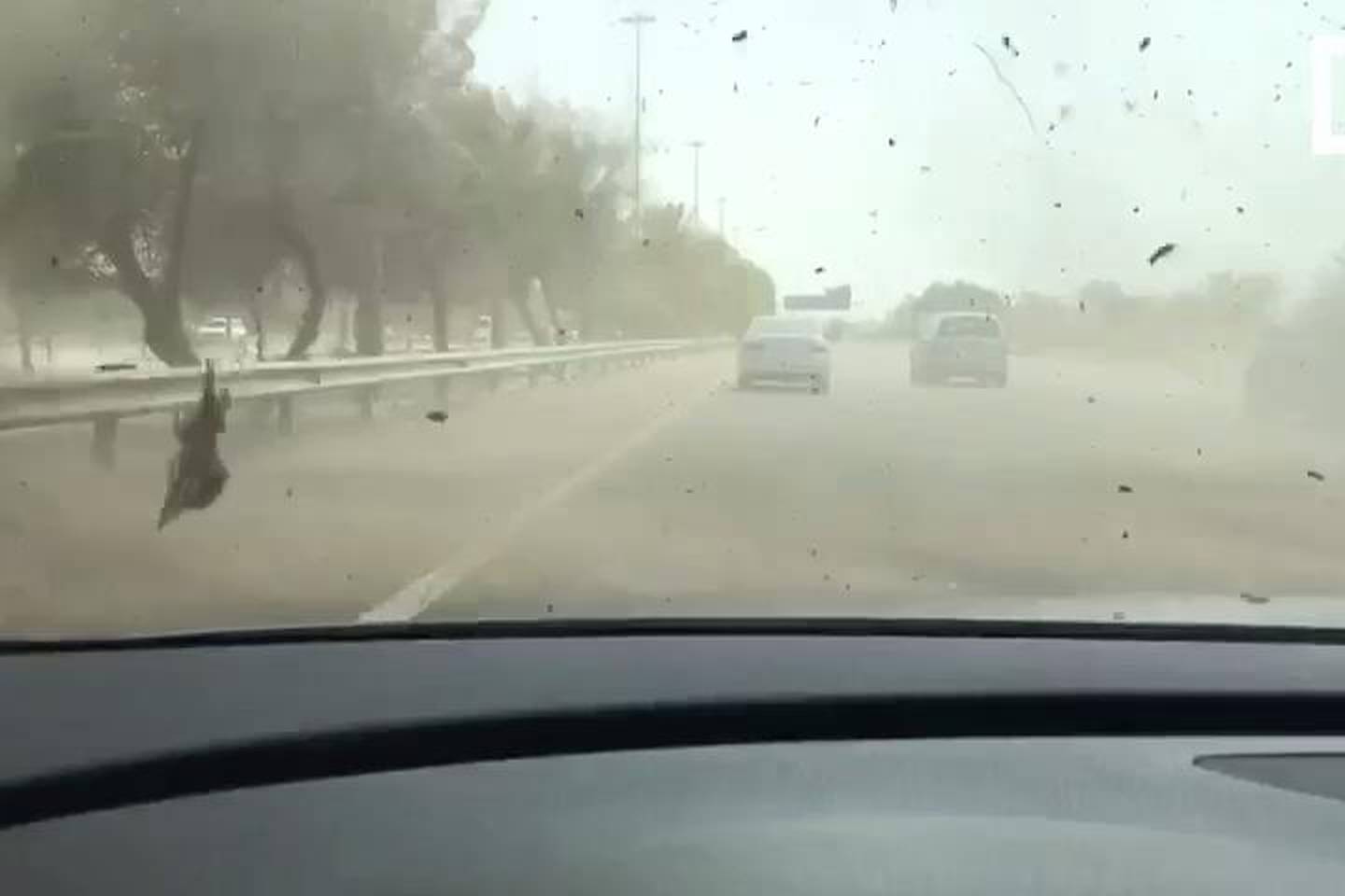 Dust Devil in the UAE