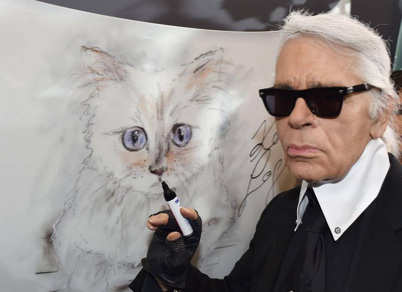 (FILES) In this file photo taken on February 3, 2015 German fashion designer, artist, and photographer Karl Lagerfeld poses next to a painting of his cat "Choupette" during the inauguration of the show "Corsa Karl and Choupette" at the Palazzo Italia in Berlin.  German fashion designer Karl Lagerfeld has died at the age of 85, it was announced on February 19, 2019. / AFP / DPA / Jens KALAENE
