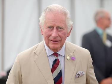 Trustees said Prince Charles charity could accept 2013 donation from bin Laden family