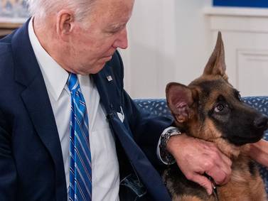 Problem dogs Biden: Family pet Commander accused of biting