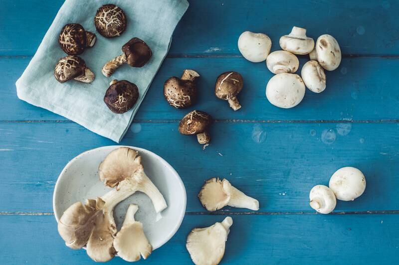 Mushrooms are being used in fashion as a leather alternative, as well as in skincare and supplements. Photo: Scott Price