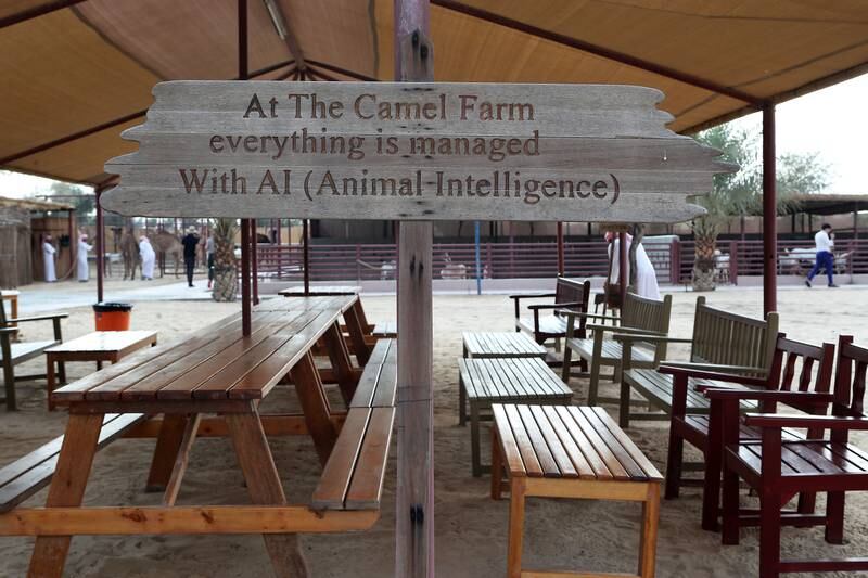 The Camel Farm has a kitchen to provide evening grills, and seating areas for activities. Pawan Singh / The National