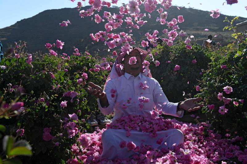 Salman, a member of the Bin Salman family, throws roses into the air at the family's farm in the Saudi city of Taif on March 13, 2021. The family farm is open to visitors and offers a complete rural experience including the viewing of the time-honoured tradition of extracting rose water and oil from the Taif rose, a prized component in the cosmetic, culinary and other industries. It has become synonymous with the city itself, dubbed locally as the City of Roses. / AFP / Amer HILABI
