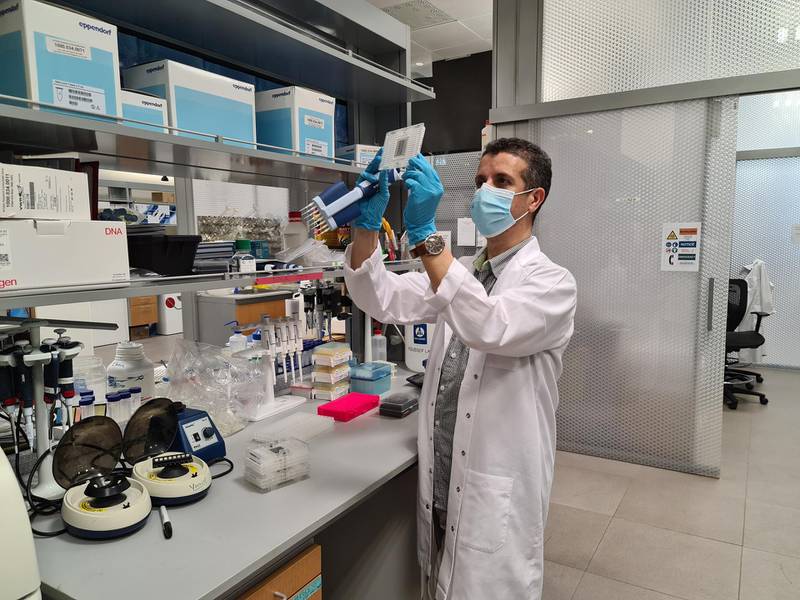 A new saliva swab tested by biology professor Youssef Idaghdour at New York University Abu Dhabi could be a more reliable and cheaper alternative to PCR testing for Covid-19. Courtesy: NYUAD
