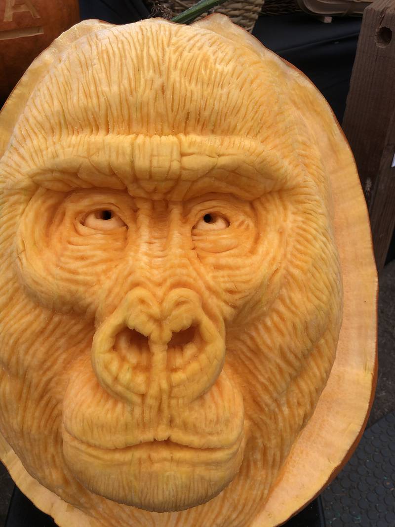 Gorilla face carved from a large pumpkin within the Grand Pavilion