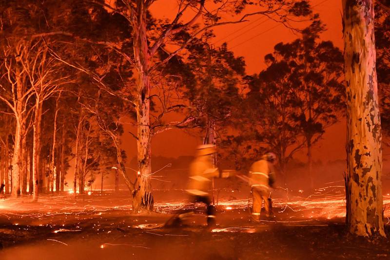 Firefighters hose down trees as they battle against bushfires around the town of Nowra in the Australian state of New South Wales. AFP