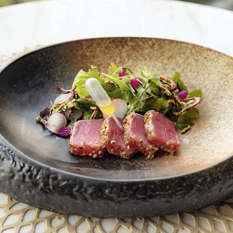 Wild rice tuna salad with a coriander and cumin crust at Bombay Brasserie 
