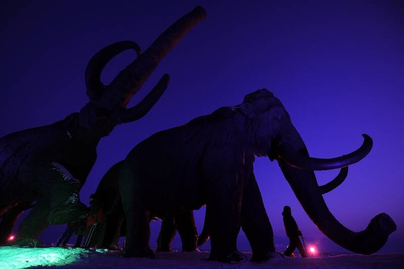 Giant bronze sculptures of mammoths on display during the World Biathlon Championships in the Siberian city of Khanty-Mansiysk. AFP