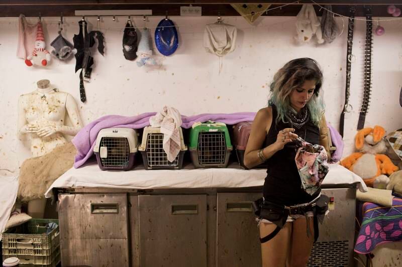 Nora Lifschitz treats a wounded Egyptian fruit bat in her apartment in Tel Aviv, Israel. EPA