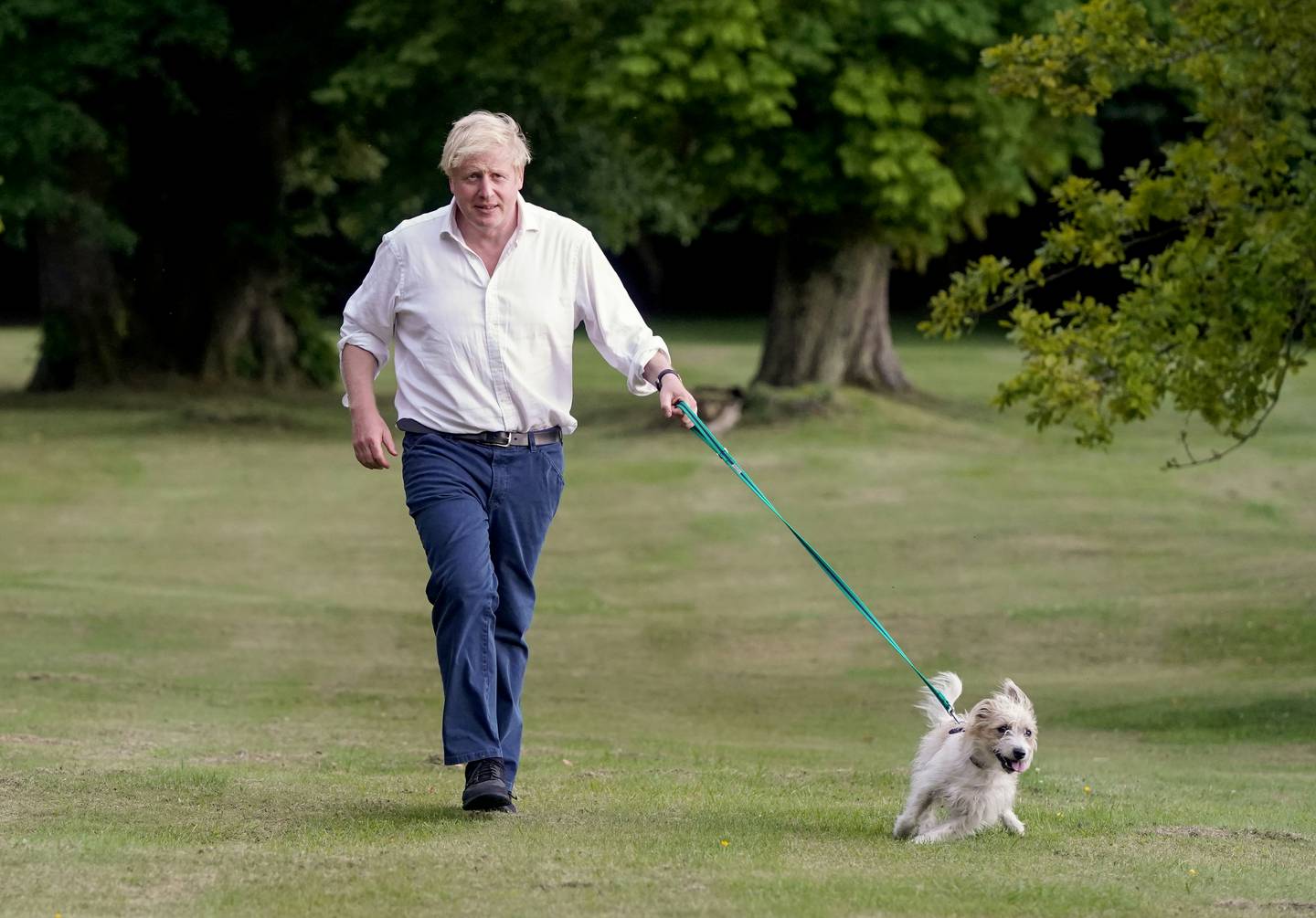 Boris Johnson and his pet dog Dilyn. Photo: No 10 Downing Street