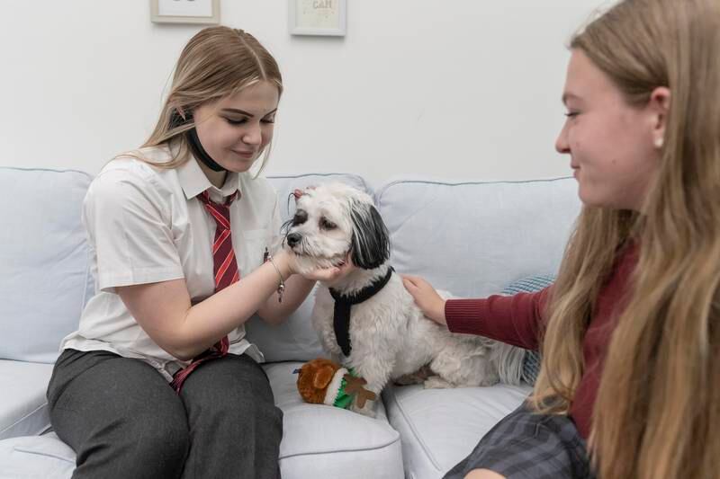 Pupils Eli Bellini and Tabby Cardew say it boosts morale having a dog in the school. 