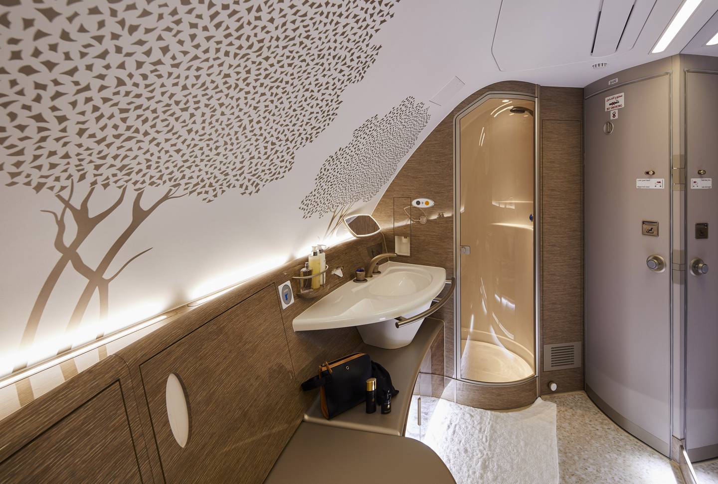Ghaf trees, which are native to the UAE, have been hand-stenciled in the first class shower spa aboard Emirates retrofitted A380s. Photo: Emirates