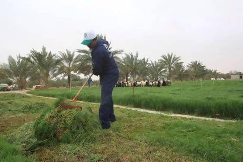 Workers at the farm in Madinat Zayed in the Western Region. The integrated practices have resulted in the farm becoming close to self-sufficient. Photos Ravindranath K / The National