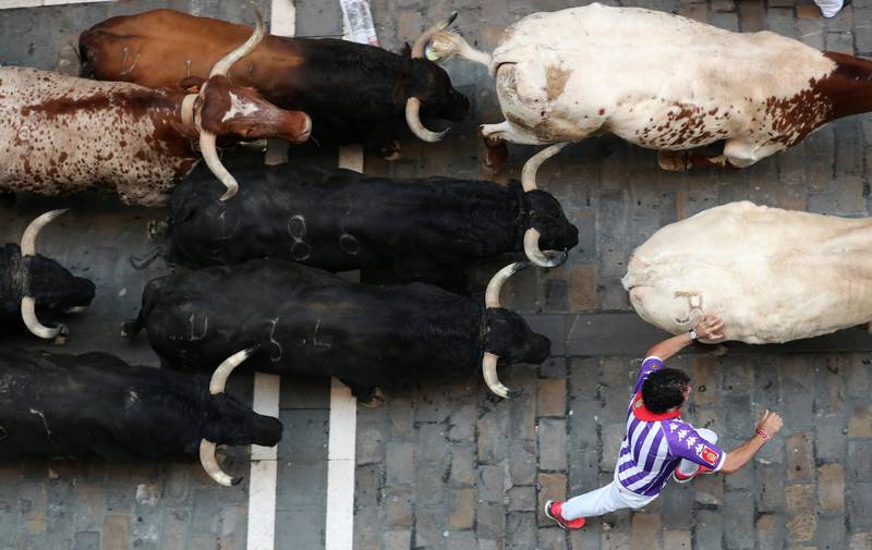 A reveller sprints along with a pack of bulls and steers during the fourth running of the bulls of the San Fermin festival in Pamplona, Spain. Reuters