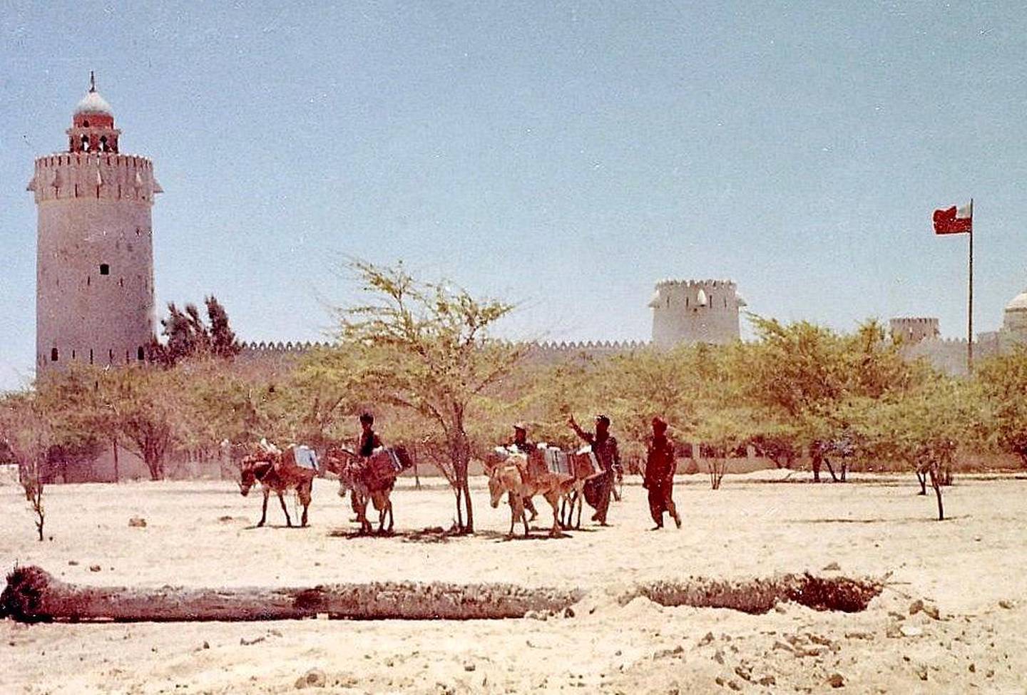 Water delivery using donkeys passing in front of Qasr al Hosn in the early 1960s. Sea water was refined using a desalination plant on the beach and distributed to homes and offices for around a dirham a gallon. Courtesy: John Vale