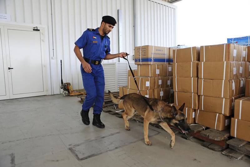 A Dubai Customs inspector uses a special canine unit to search for drugs in an unloaded shipment in Jebel Ali Port in Dubai. Sarah Dea / The National