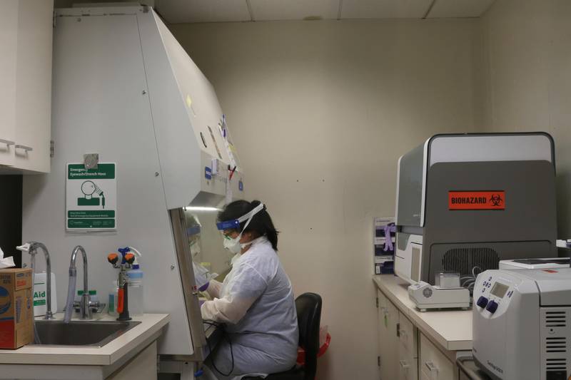 Hawaii state Department of Health medical lab technician Terilyn Lucero tests a sample for respiratory agents at the department's laboratory in Pearl City, Hawaii. Hawaii officials said they are capable of testing 250 samples for the new coronavirus each week. AP Photo