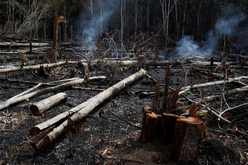 A tract of Amazon jungle burns as it is being cleared by loggers and farmers in Novo Airao, Amazonas state, Brazil.  Reuters
