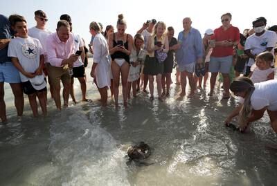 The release of 26 creatures on Thursday, plus another 10 in May, brings the total to 2,050 rehabilitated turtles released back into the Arabian Gulf since the Dubai Turtle Rehabilitation Project was founded in 2004.