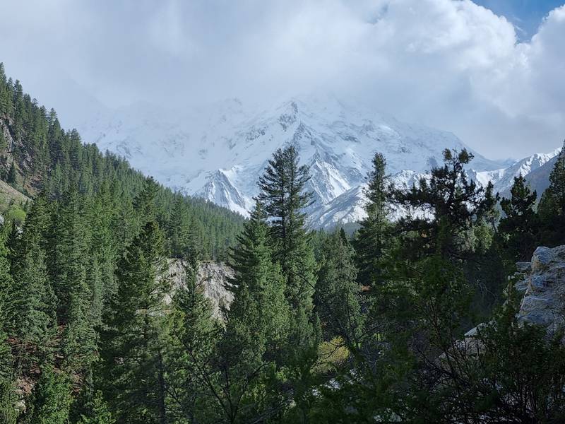 Take time enjoying the Fairy Meadows in Pakistan while travelling the Karakoram Highway. Photo: Aqib Bilal / Unsplash