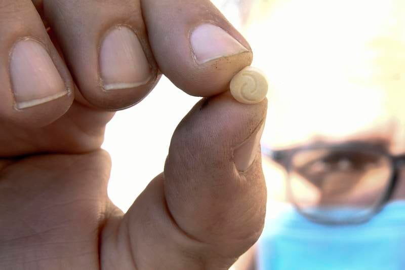 The small, off-white pills have quickly become one of the most widely consumed drugs in the Middle East. EPA