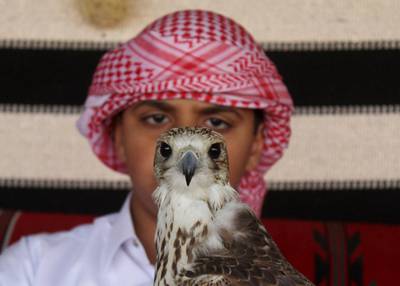 A boy holds a falcon during Qatar International Falcons and Hunting Festival at Sealine desert, Qatar. The participants at the contest compete for the fastest falcon at attacking its prey. Naseem Zeitoon / Reuters