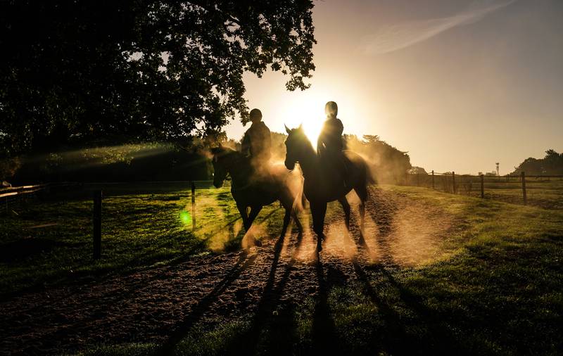 Horses return from the gallops at Sam Drinkwater's Granary Stables in Strensham, Worcestershire. PA