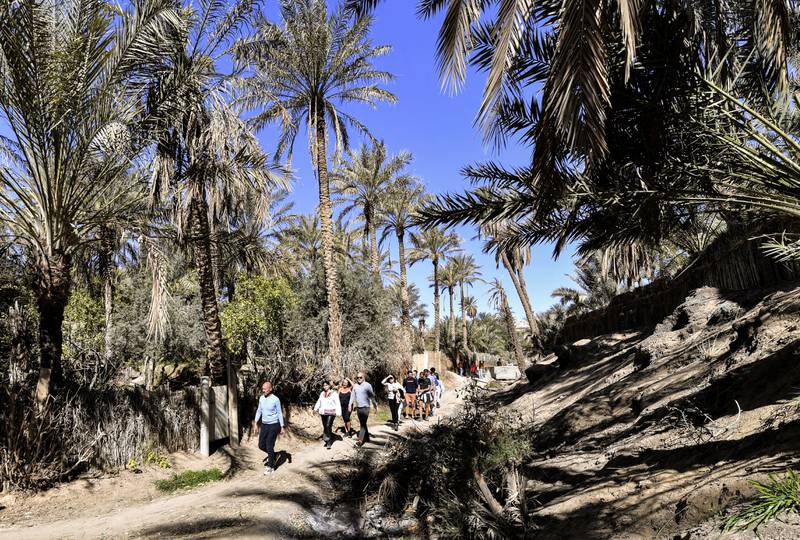 Visitors take a stroll through palm groves in Nefta.