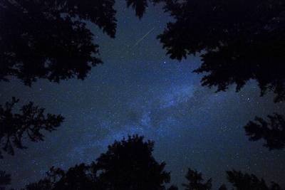 The annual Perseid meteor shower near Rogla, Slovenia. Srdjan Zivulovic / Reuters