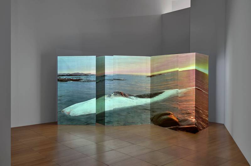 Invocation for a Wandering Lake is a video projection on cardboard bifold panels by Patty Chang. Photo: The NYUAD Art Gallery