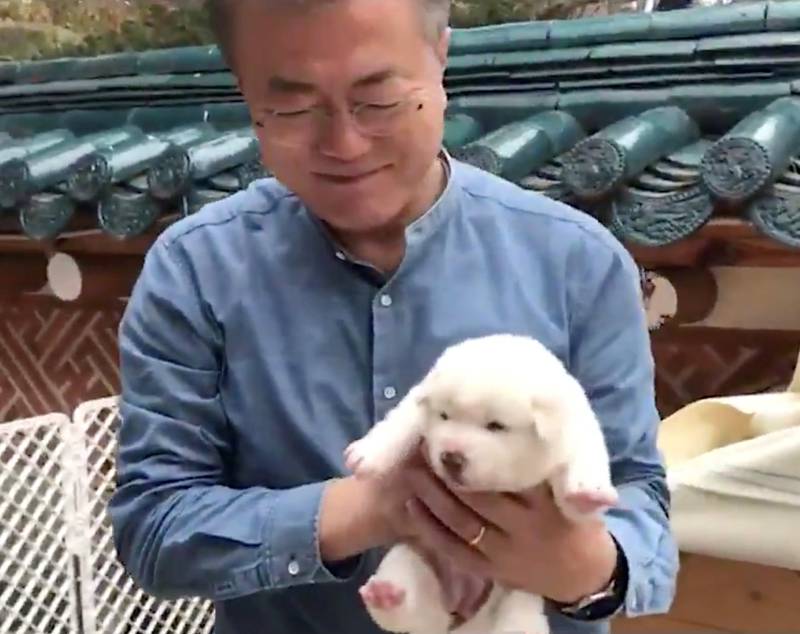 Mr Moon holds a puppy born from the North Korean hunting dog in 2018. Reuters
