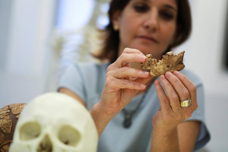 Hila May, a physical anthropologist at the Dan David Center and the Shmunis Institute of Tel Aviv University holds what scientists say is a piece of fossilised bone of a previously unknown kind of early human discovered at the Nesher Ramla site in central Israel, during an interview with Reuters at The Steinhardt Museum of Natural History in Tel Aviv, Israel June 23, 2021. Picture taken June 23, 2021. REUTERS/Ammar Awad