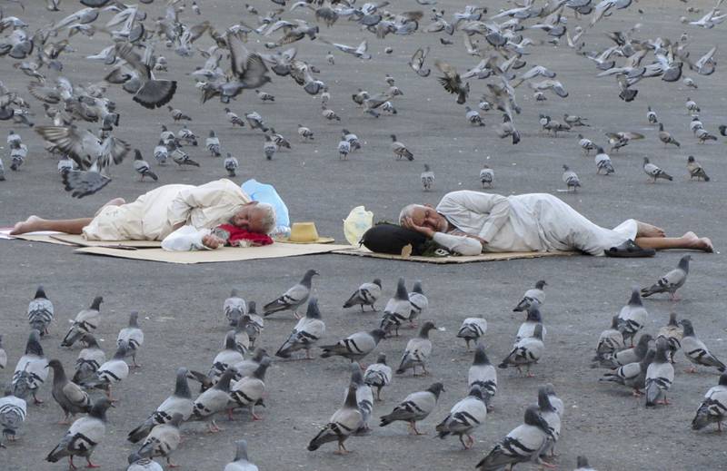 Pigeons surround pilgrims outside the Grand Mosque. AP