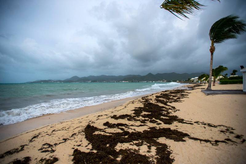 A picture taken on September 5, 2017 shows a view of the Baie Nettle beach in Marigot, with the wind blowing ahead of the arrival of Hurricane Irma.
Ferocious Hurricane Irma bears down on the eastern Caribbean with strong winds and potential for huge storm surges, prompting people to pack into shelters, stock up on essentials and evacuate tourist areas as far north of Florida. / AFP PHOTO / Lionel CHAMOISEAU