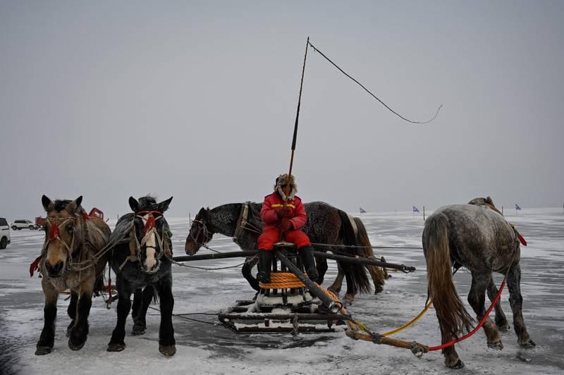 Horses wheel a device linked to a fishing net during the annual Chagan Lake Winter Fishing Festival in Songyuan, China. AFP