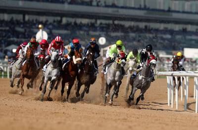 Runners take a bend during the Dubai Kahayla Classic. Chris Whiteoak / The National