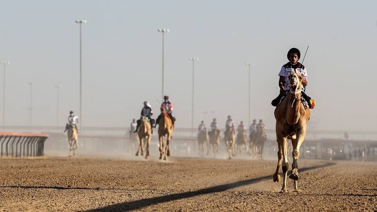 An image that illustrates this article Camel jockeys race in the UAE National Day Camel Marathon - in pictures